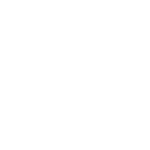 ZakMond Logo Main White Scaled 300x300
